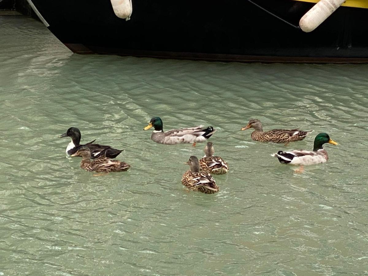 شقة Mori 3, In Centro Storico Di Venezia المظهر الخارجي الصورة