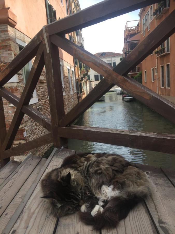 شقة Mori 3, In Centro Storico Di Venezia المظهر الخارجي الصورة